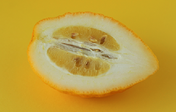 פרי אתרוג חתוך, מראה את הזרעים שבתוכו | Shutterstock, Michelle Patrick