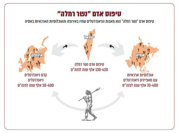 אנשי נשר רמלה עשויים היו להיות המאגר האנושי שחידש את האוכלוסייה הניאנדרטלית