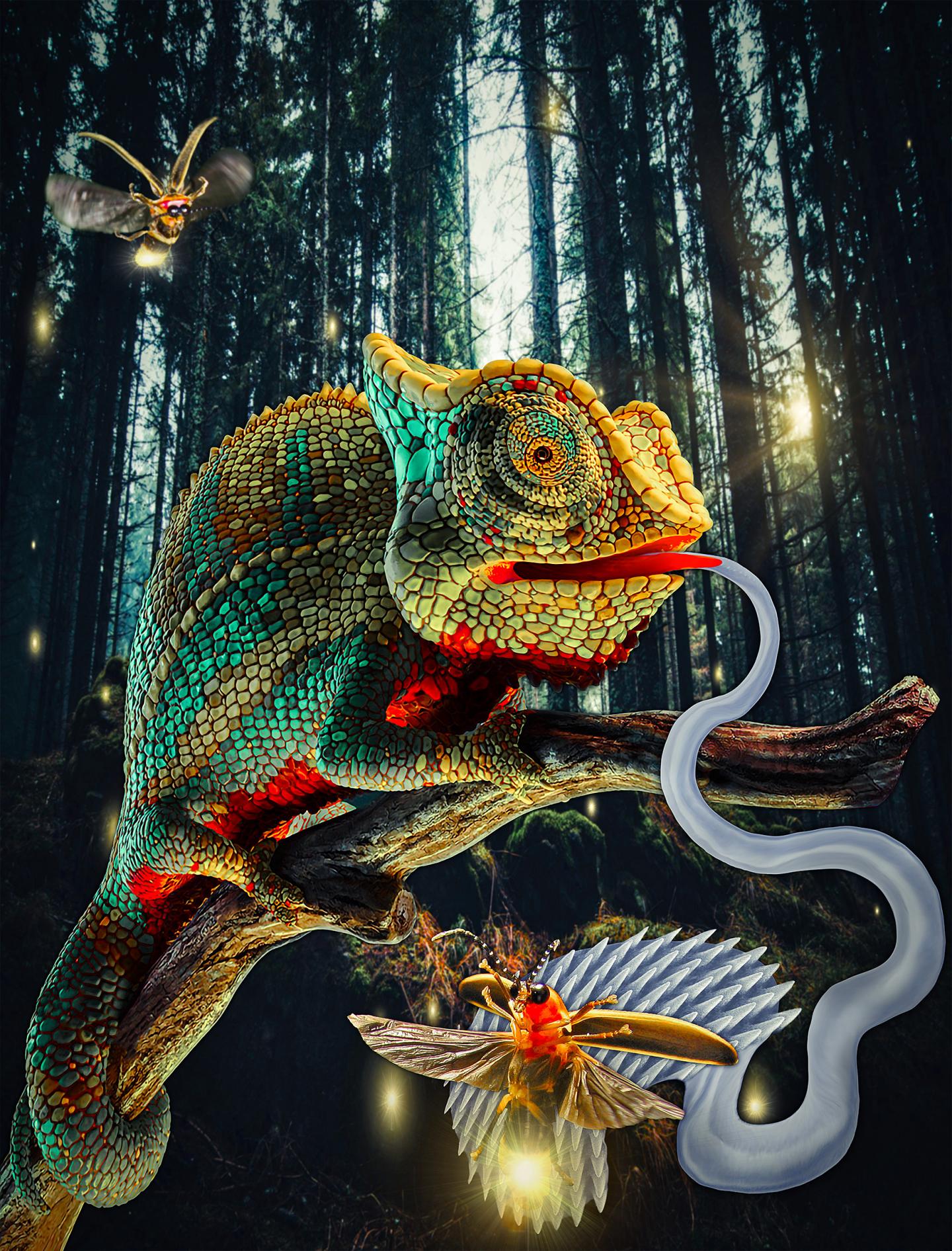 איור שיצר צוות המחקר של לשון הזיקית שהעניקה השראה לפיתוח | Ramses V. Martinez/Purdue University