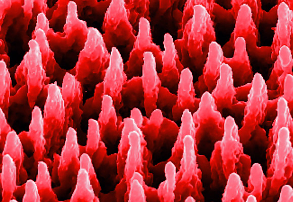 נחוץ לניצול מיטבי של אנרגיית השמש. לוח גרמניום בהגדלה במיקרוסקופ אלקטרונים | צילום: Shutterstock