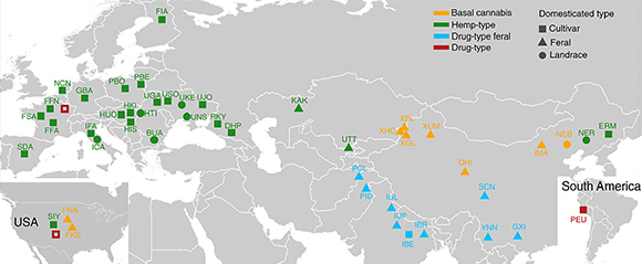 הפריסה הגיאוגרפית של הצמחים ששימשו במחקר | איור: מתוך המאמר