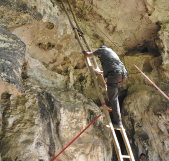 הסולם למערה