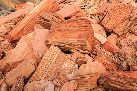 שיכוב עדין שגור לסלע להתפצל לאורך מישורים מקבילים. סלעי פצלים אדמדמים | צילום: Maksim Maksimovich, Shutterstock