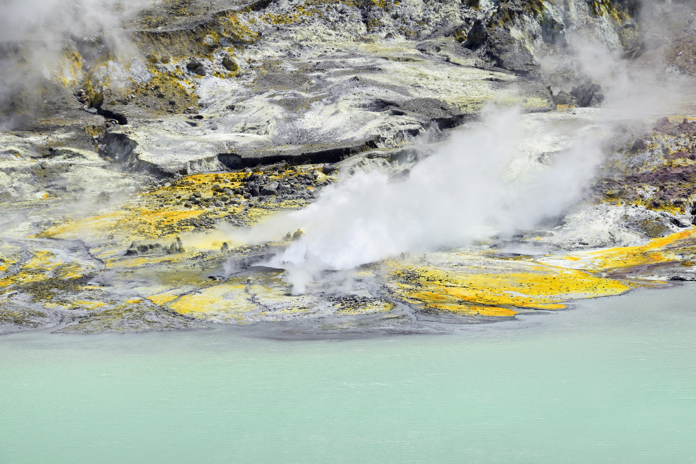 פולט גזים כבר 250 שנה. האי וייט בניו זילנד, שם התפרץ הר הגעש ואקאארי בדצבר 2019 | צילום: Shutterstck