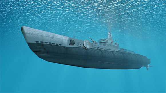 איך הורגים תיקנים בצוללת? על ידי קוטל חרקים, דה. צוללת | Shutterstock, tsuneomp