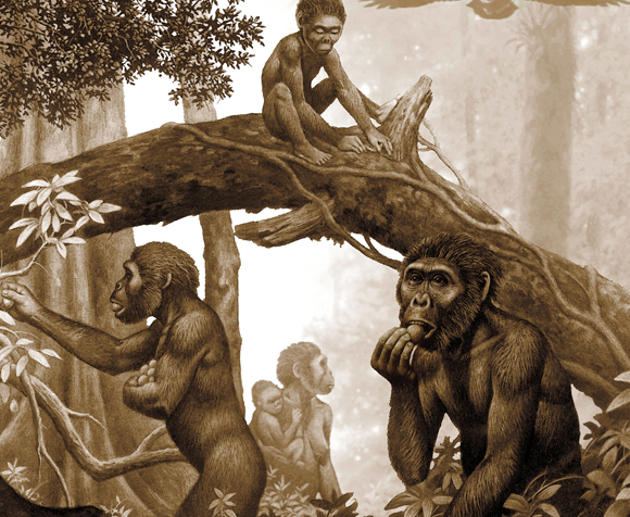 שבט אוסטרלופיתקוסים