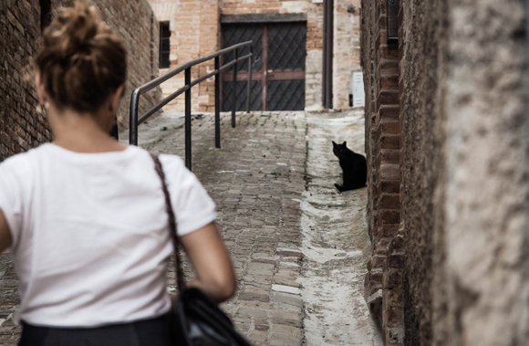 Eine junge Frau geht in Richtung eines schwarzen Katers, Quelle: Shutterstock, The Curious Pirate