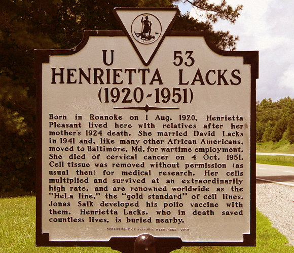 במותה הצילה חיים רבים מספור. שלט לזכרה של לאקס סמוך לבית הקברות שנטמנה בו | צילום: Science Photo Library