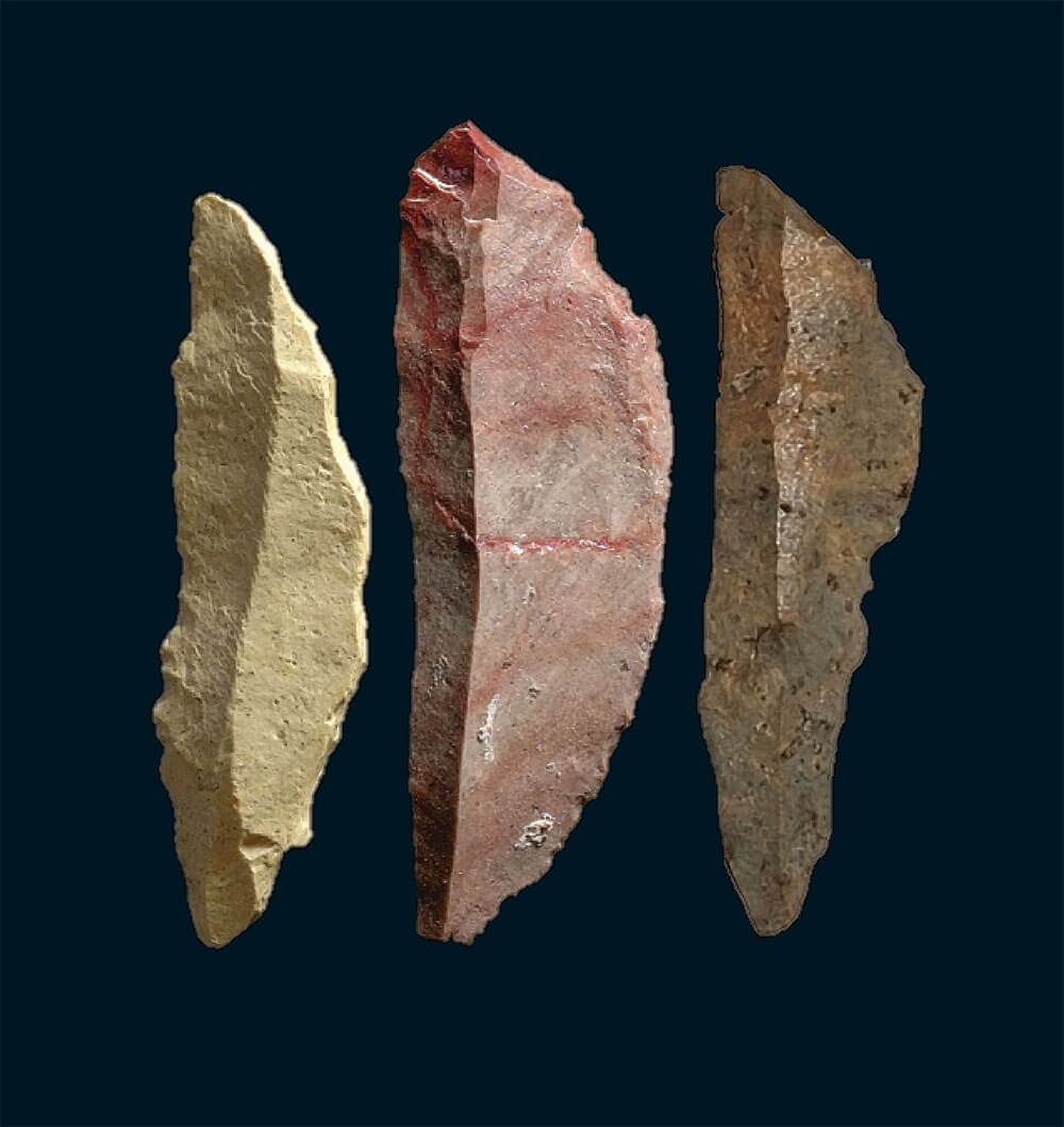 להבי אבן זעירים. קרדיט: סימֵן אוסטְמו | Scientific American