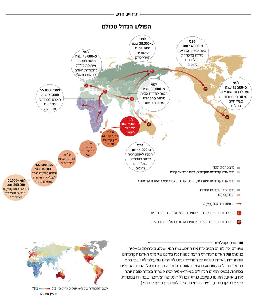 תרשים התפתחות של הההומו סַפְּייֵנס | Scientific American