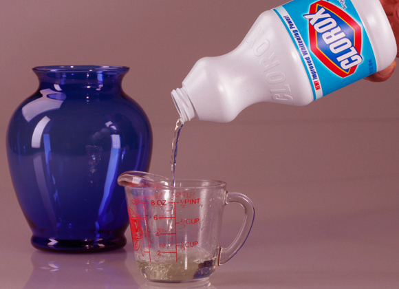 Bleichmittel |  Foto: Shutterstock