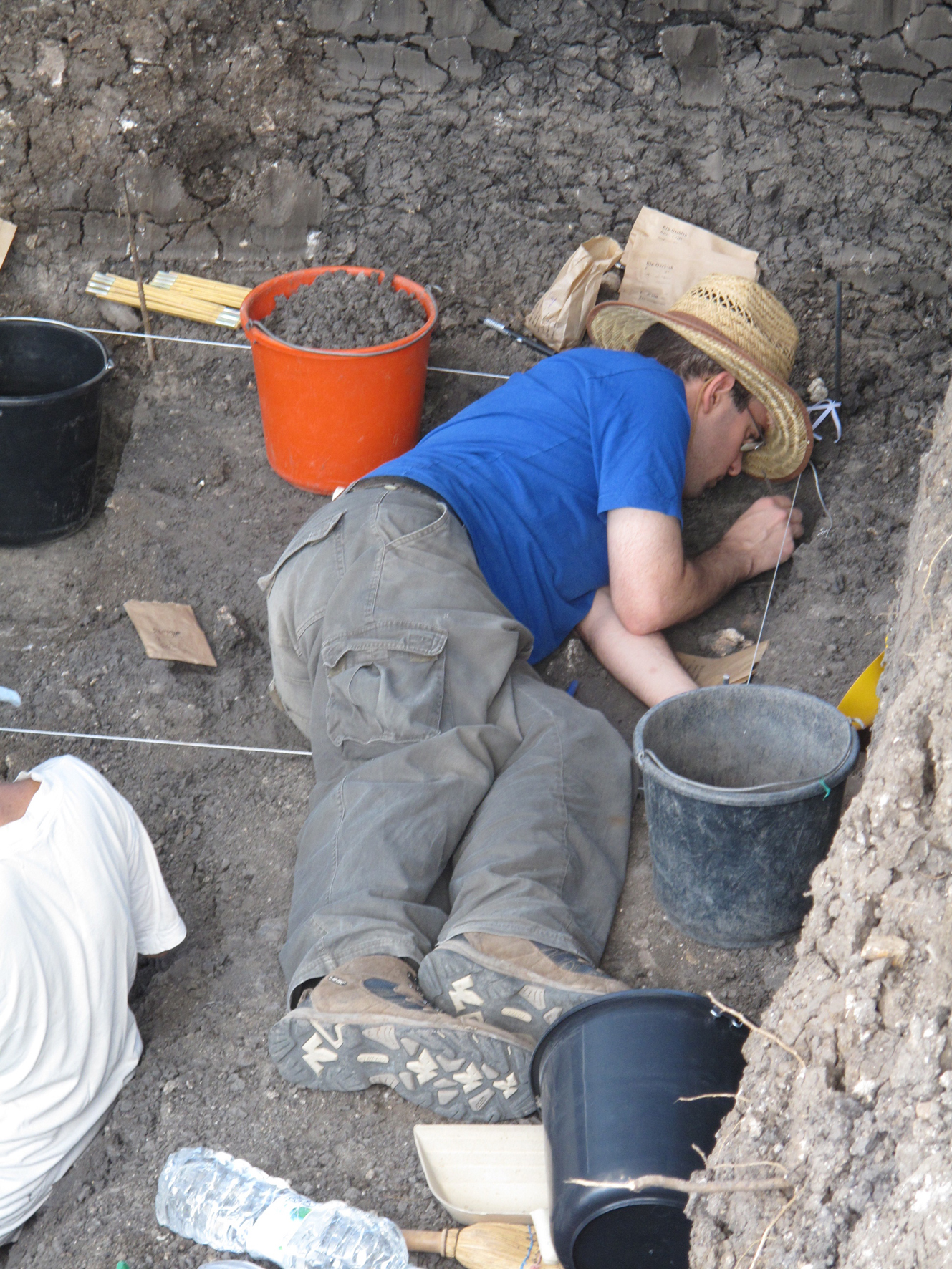 מחלזונות מפתיעים עד פרים וסוסים. ד"ר ראובן ישורון חושף עצמות של בעלי חיים | צילום: פרופ' אראלה חוברס