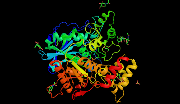 הדמיה של מבנה החלבון בוטירילכולין אסתראז | מקור: ibreakstock, Shutterstock