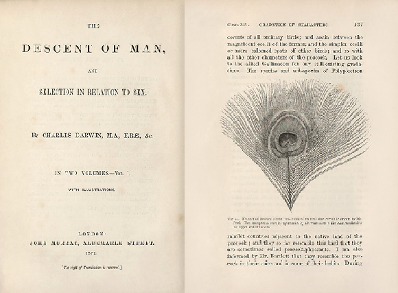 דף השער של הספר ואיור מתוכו | Library of Congress, Rare Book and Special Collections Division, Science Photo Library