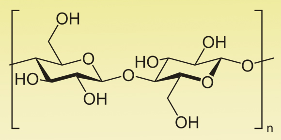 מולקולות גלוקוז בפולימר. מוצג חיבור של שתי מולקולות - בפועל אלה שרשראות של אלפים | מקור: ויקיפדיה, נחלת הכלל