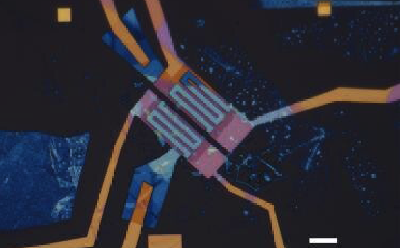 אורכו של הקו הלבן: שמונה מיקרון | צילום: Yale School of Engineering and Applied Science 