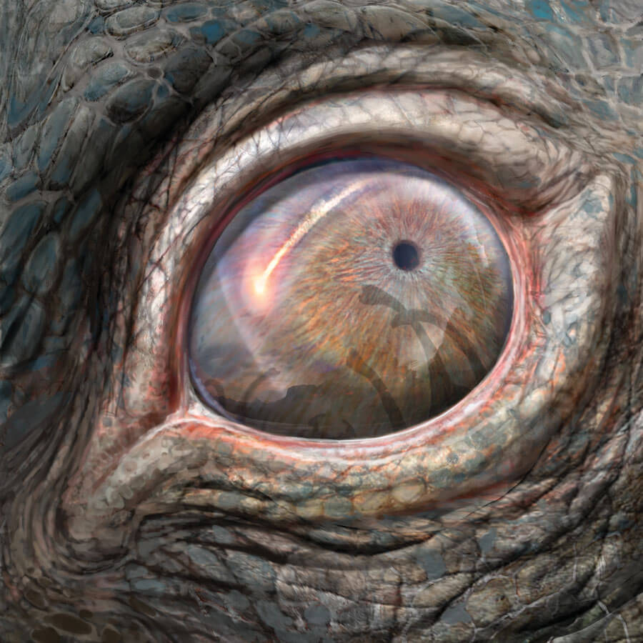 עין של דינוזאור איור: ג'ון פוסטר | Scientific American