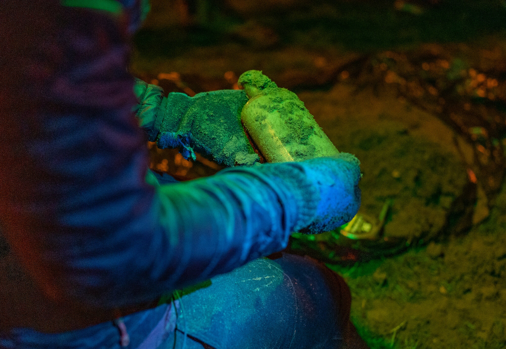 הוצאת בקבוק זרעים שהיה טמון באדמה | צילום: דרק ל' טרנר, אוניברסיטת מישיגן סטייט