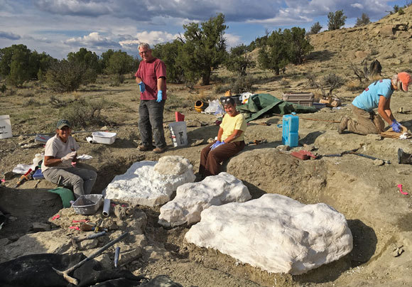 האתר בו נמצאו המאובנים בדרום יוטה והנוף סביבו | צילום: BLM, באדיבות ד"ר אלן טיטוס / Flickr
