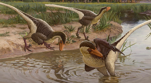 דינוזאורים ממשפחת הדְרוֹמֶזַאוּרִיים| איור: Sergey Krasovskiy, University of Pennsylvania