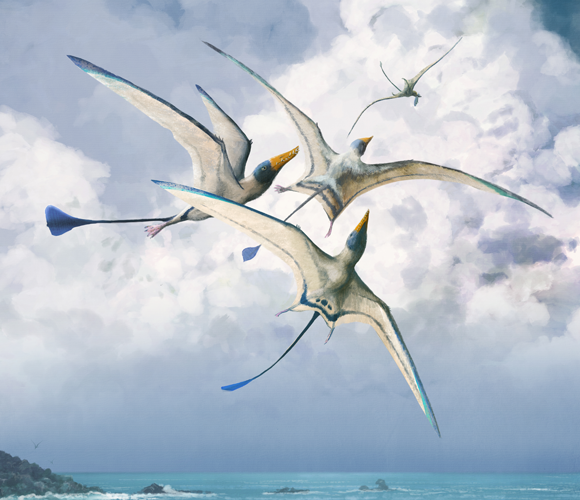 פטרוזאורים מהסוג Rhamphohynchus | איור: Mark Witton, UNIVERSITY OF READING