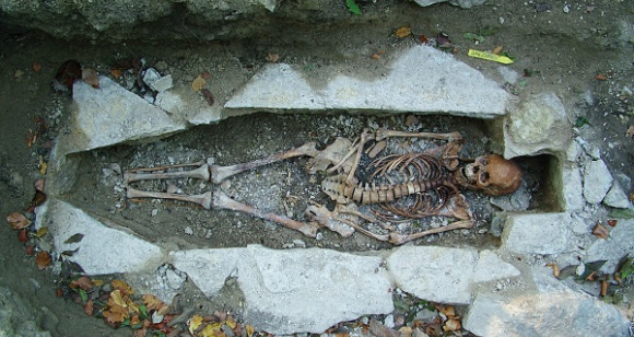 שלד של אשה שנטמנה בקבורה ויקינגית בעיר השוודית ורנהם | צילום: Västergötlands museum