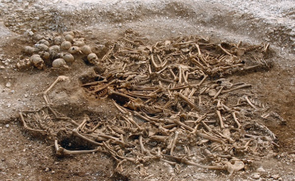 קבר אחים של עשרות ויקינגים כרותי ראש בדורסט, אנגליה | צילום: Dorset County Council/Oxford Archaeology