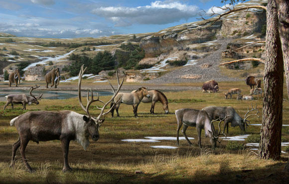 לשחזר את הנוף הפלייסטוקני בסיביר. חיות בר בתקופת הפלייסטוקן | איור: MAURICIO ANTON / SCIENCE PHOTO LIBRARY