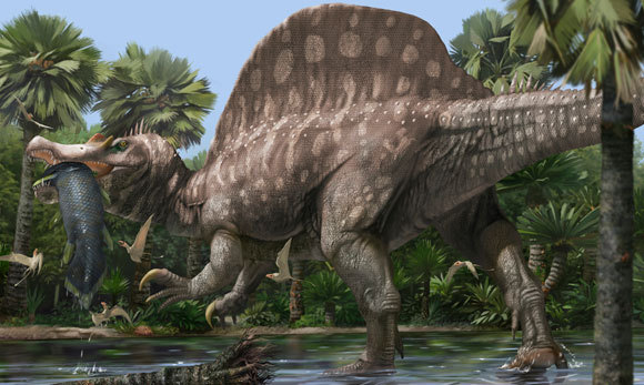 ספינוזאורוס בפעולה | איור: JAIME CHIRINOS / SCIENCE PHOTO LIBRARY