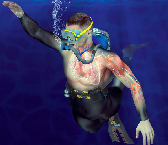 Illustration der Blasenbildung während des Tauchens. Claus Lunau. Science Photo Library