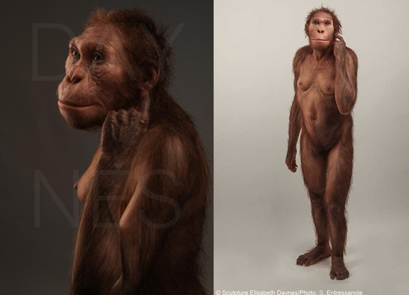 אוסטרלופיתקוס סדיבה | פסל של Elisabeth Daynes, צילום: S. Entressangle