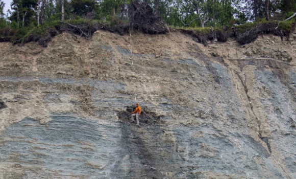 עבודה מדעית על הקצה: בוברובסקי חופר בחיפוש אחר מאובני דיקינסוניה בצוקים בצפון רוסיה | צילום: ANU