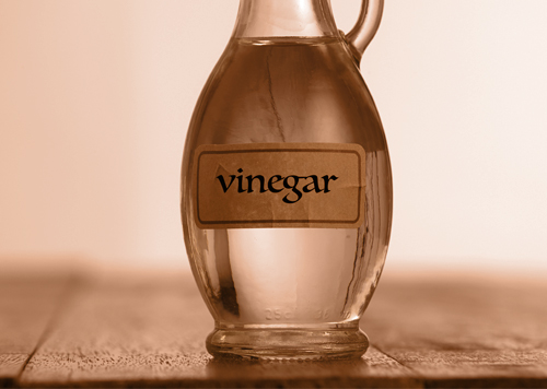 الخلّ | تصوير: Shutterstock