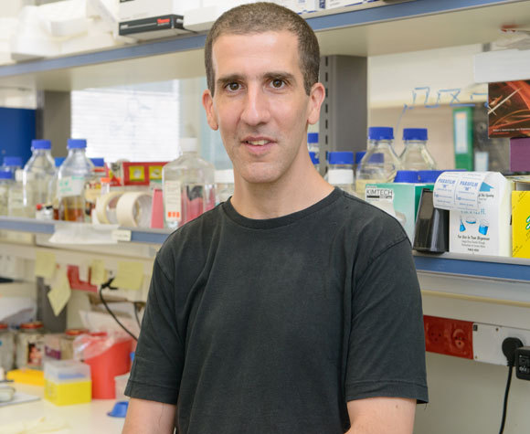 בוררים מיליוני נוגדנים שונים כדי למצוא את היעילים ביותר. שראל פליישמן | צילום: אוהד הרכס, מכון ויצמן למדע