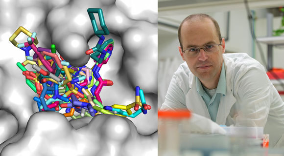 ניר לונדון ומעכבים שמצא על רקע האתר הפעיל של הפרוטאז | צילום: מכון ויצמן למדע, איור: ניר לונדון