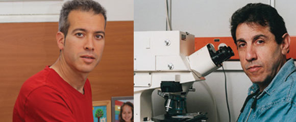 בנימין גייגר (מימין) וערן סגל | צילומים: מכון ויצמן למדע