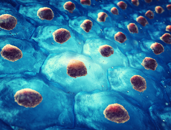 תרבית של תאי גזע עובריים | איור: nobeastsofierce, Shutterstock