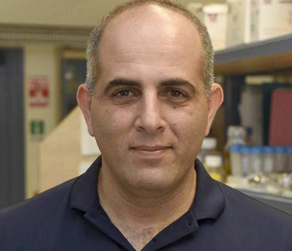 רועי עמית | צילום : רמי שלוש, דוברות הטכניון