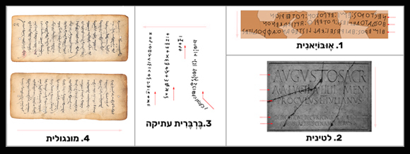 1. יוונית אובויאנית (מימין לשמאל); 2. לטינית (משמאל לימין); 3. טיפינאך – ברברית עתיקה (מלמטה למעלה); 4. מונגולית (מלמעלה למטה) | מקורות: Oleg, Future Perfect at Sunrise, Shutterstock, Leah-Anne Thompson, ויקיפדיה, סיימון אגר/Omniglot.com