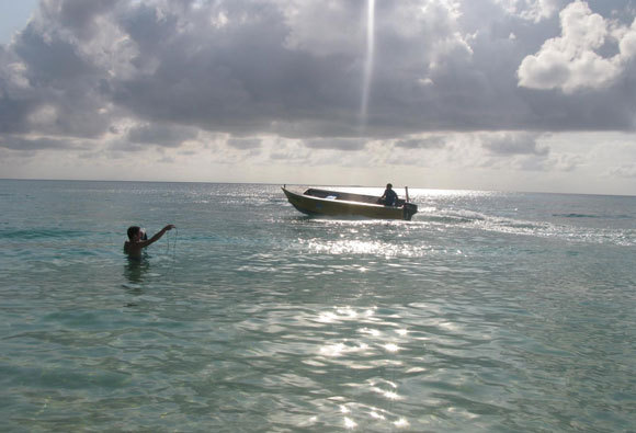 Forscher messen den Geräuschpegel im Versuchsgebiet in Australien | Maud Ferrari