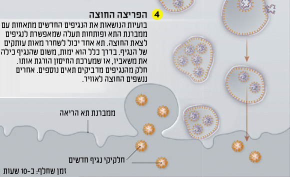 תרשים פריצה החוצה