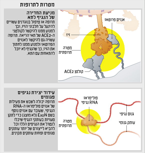 תרשים מטרות לתרופות 1