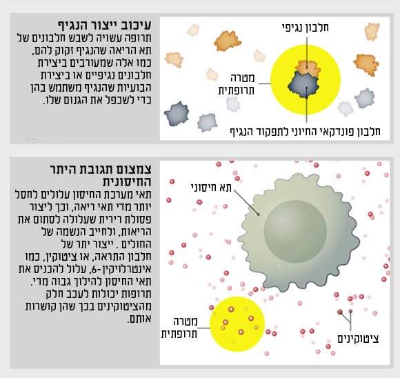 תרשים מטרות לתרופות 2