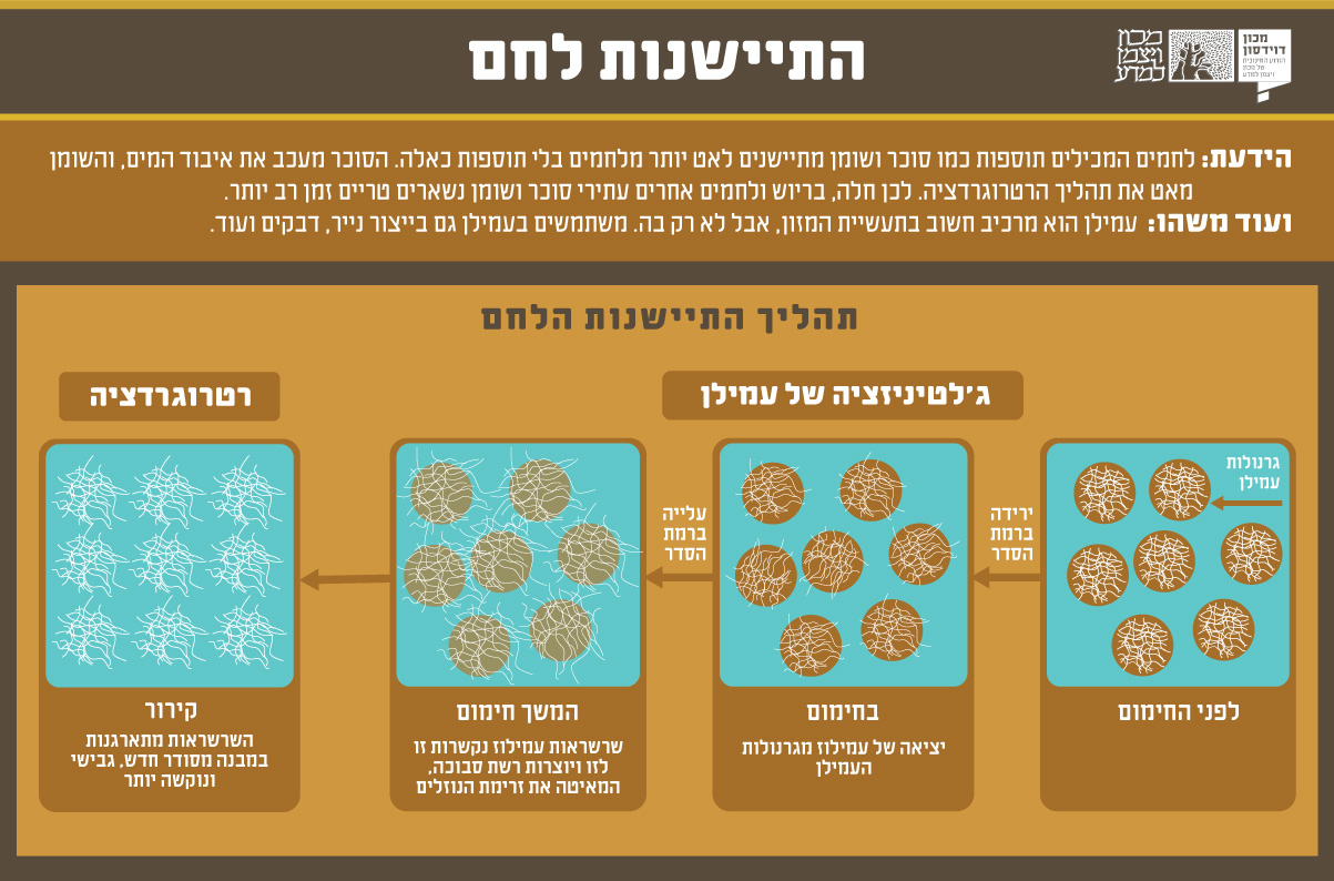 האינפוגרפיקה