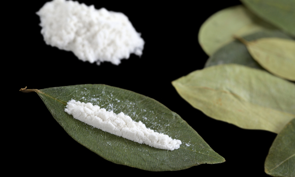 גורם להפעלה מוגברת של מסלולי הגמול במוח. אבקת קוקאין ועלי צמח הקוקה | צילום: Shutterstock