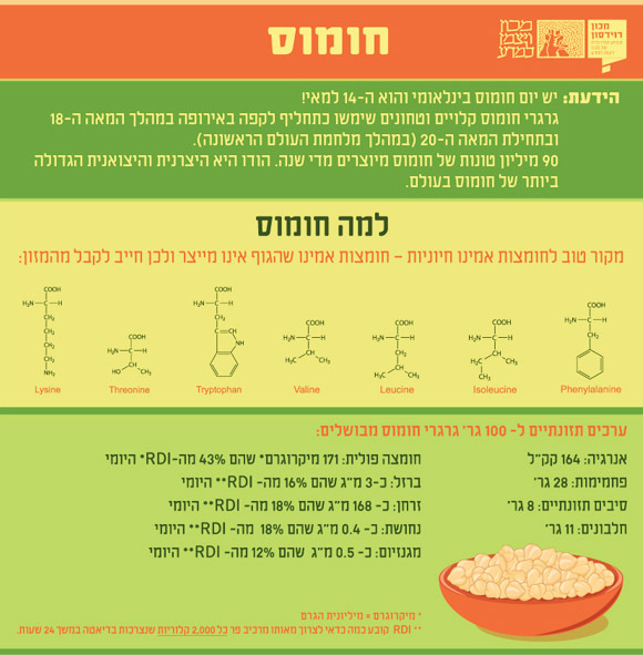עובדות החומוס | דפנה מנדלר, לפי SELF Nutrition Data