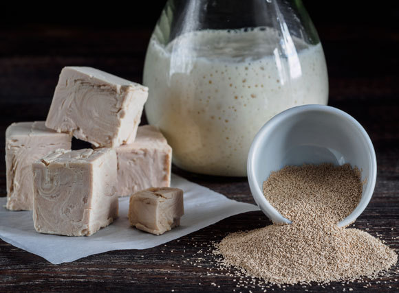 שמרים יבשים (מימין) וקוביות (משמאל) | צילום: Fascinadora, Shutterstock