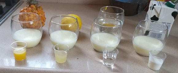 מרכיבים נוספים יכולים להשפיע מאוד על תהליך יצירת הג'ל. חלב, אלכוהול, לימון ואננס | צילום: דפנה מנדלר