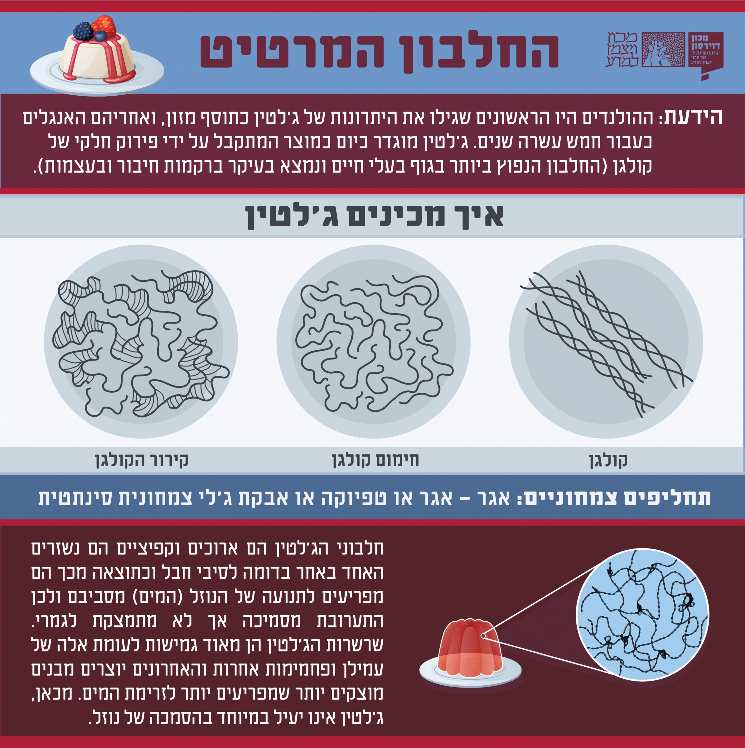 פנקוטה מקושטת בגרגרי רימון | צילום: דפנה מנדלר