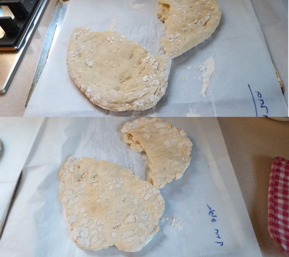 בצק פיצה מקמח לחם (למעלה) לעומת אותו בצק מקמח עוגות (למטה) | צילום: דפנה מנדלר